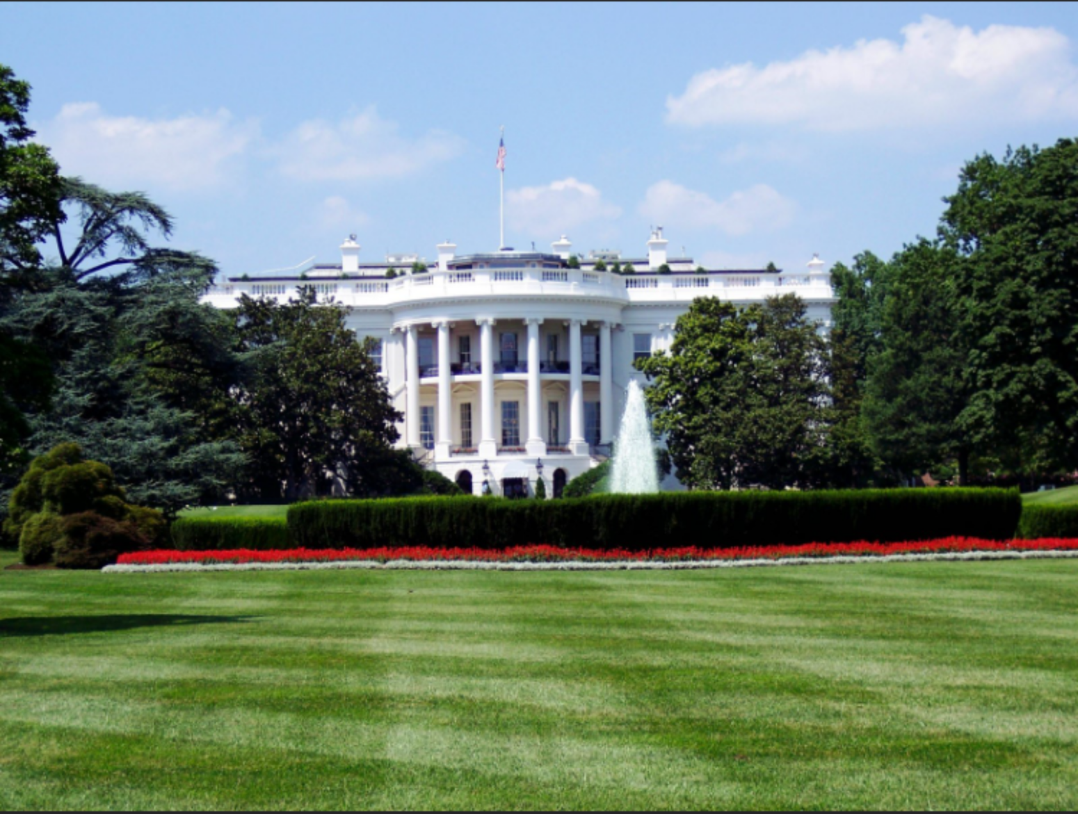 The White House from a yard.